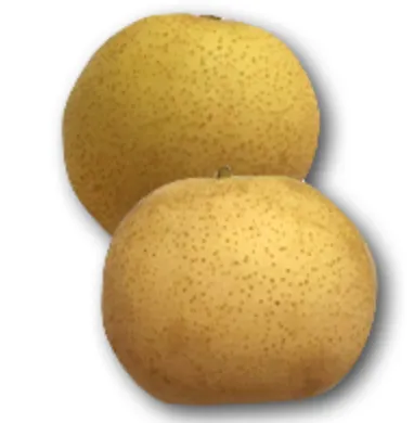 秋季居家食補：梨