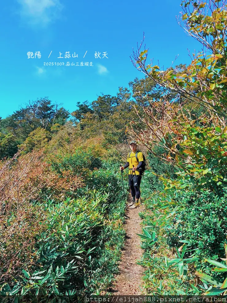 【2025初秋.岡山県真庭市】蒜山三座縱走/下蒜山(海拔11