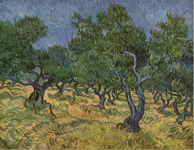 Olive Grove 1889.06