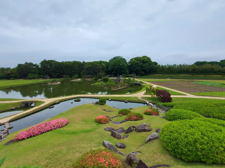 在唯心山觀景台欣賞澤之池