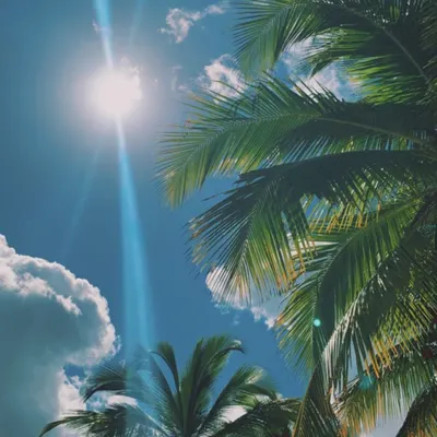 高冷的娃娃臉的沙龍