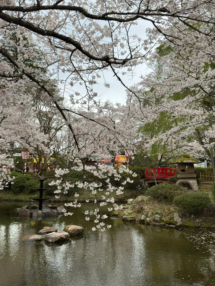 打吹公園的小湖