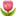 🌷