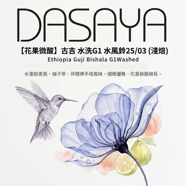 【衣索比亞 古吉｜水洗 水風鈴 G1 Lot 25/03】  