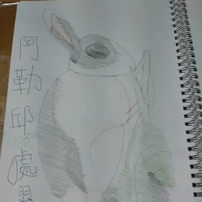 我繪筆中的阿勒邱