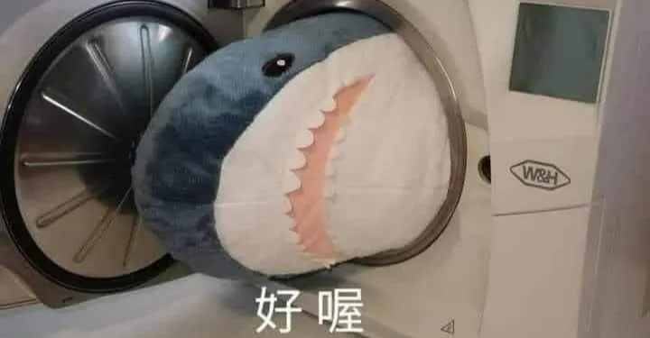 鯊鯊咬金的鯊威龍