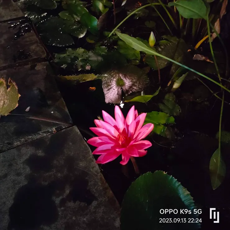 OPPO手機沒有閃光燈拍照