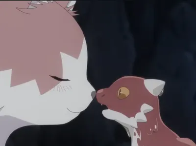 TVアニメ《貓與龍》2026年7月開播