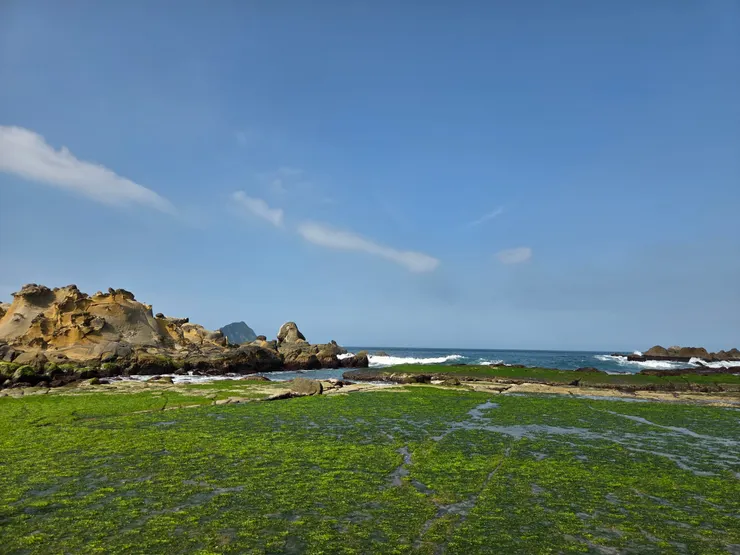 長期風化侵蝕與浪濤衝擊下的岩石地景｜春季的石蓴