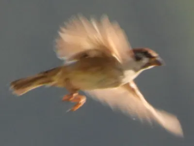 永續社-.生態.景觀.人文
