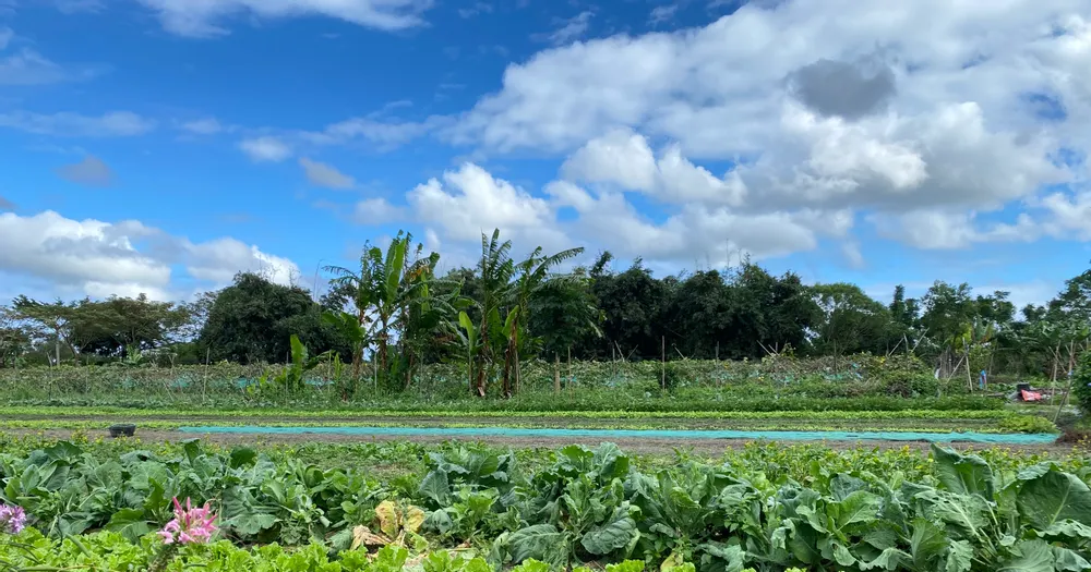 漫步筆記的沙龍