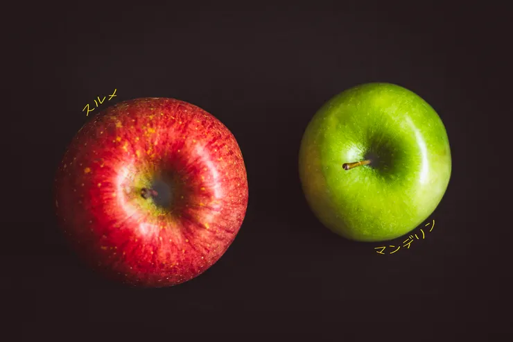 「スルメとマンデリン。」