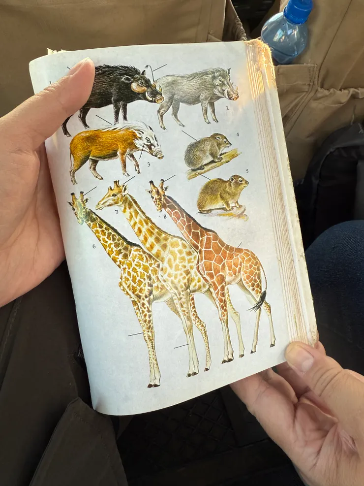 David的東非百科