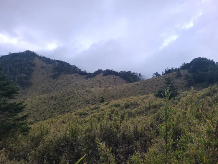 博可爾三連峰，下雨了就不打算去而且看那一撮樹林感覺也需要鑽