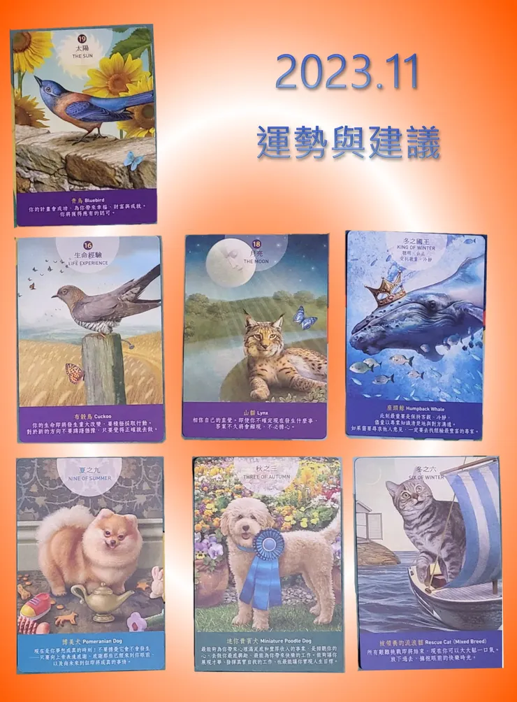 2023.11運勢與建議