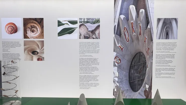 螺旋梯發想自螺殼