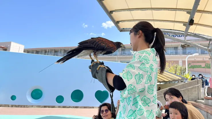 而且都很近距離互動。