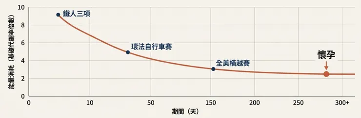 耐力極限示意圖（孕婦也在曲線上！原來懷孕耗能堪比超超超級馬拉松！respect每個媽媽！）