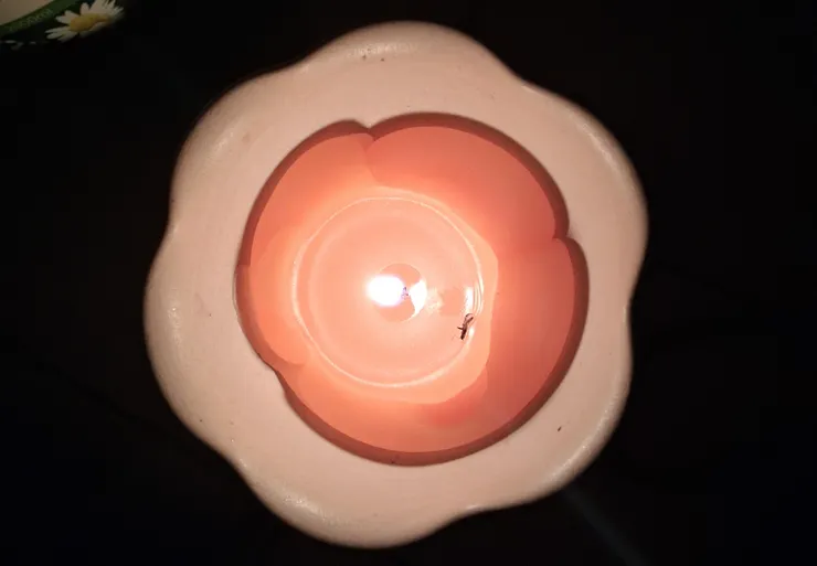 不小心落入燭油裡的蚊子