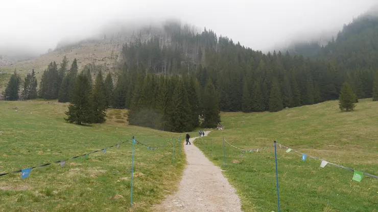 草原中間有條小路可以繼續往上走