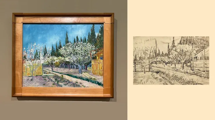 左：柏樹環繞的果園,1888年4月,亞爾｜2024.09.22於富邦美術館攝影｜右：柏樹環繞的果園,素描,1888 年4月（照片取自網路）