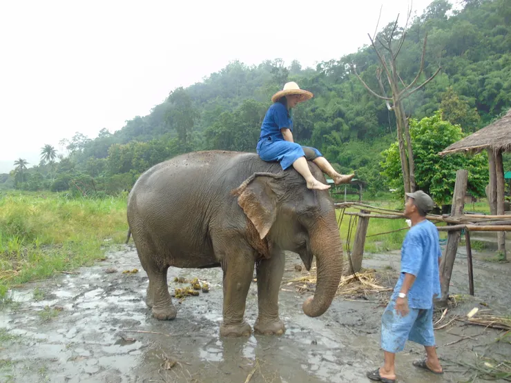 哇勒，要從象鼻滑下來😲