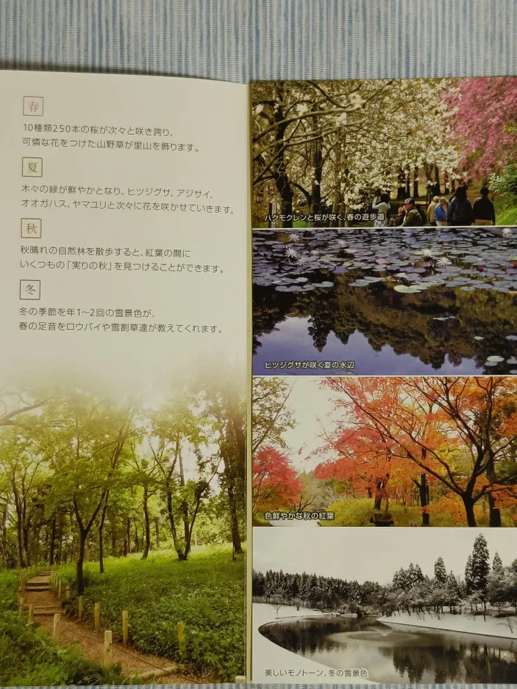 不同季節前來會有完全不同的景色(翻拍自館方介紹DM)