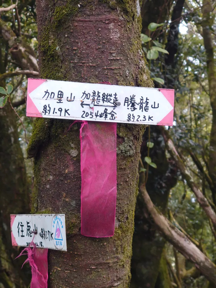 虎山三角點大休午餐後繼續走起