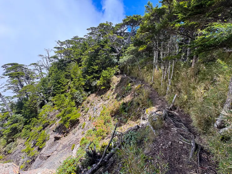 往池有山時，通過邊坡後回頭拍攝