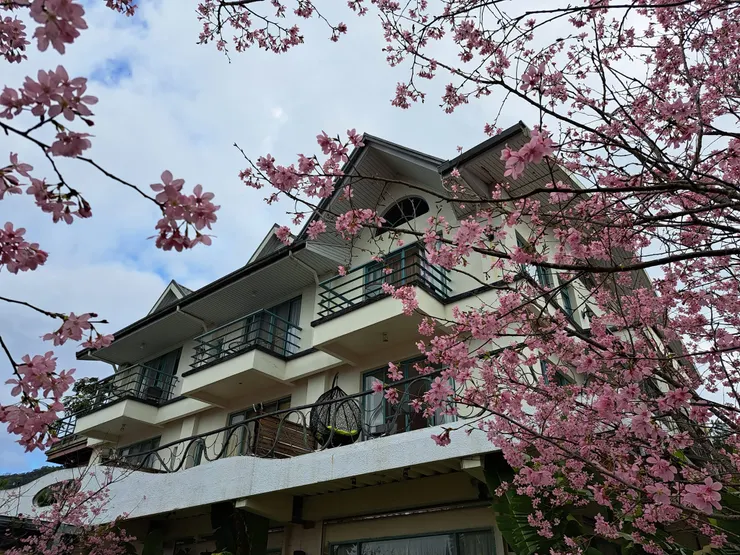 櫻悅景觀渡假別墅