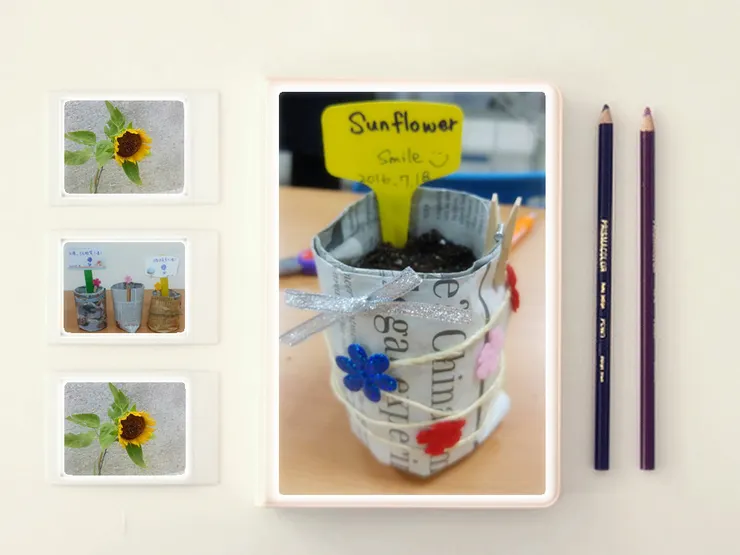 園藝治療處方：報紙育苗盆