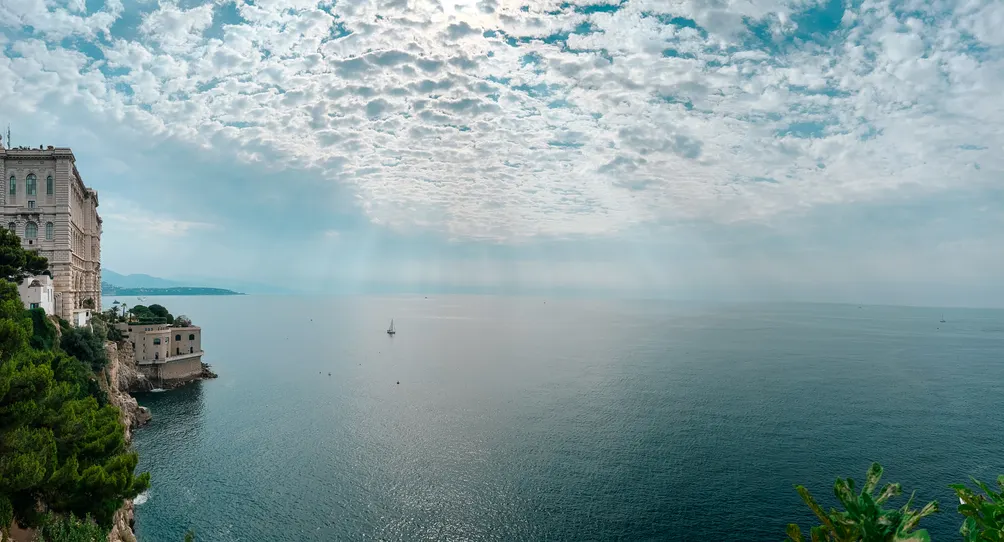 Raine｜找到你的光