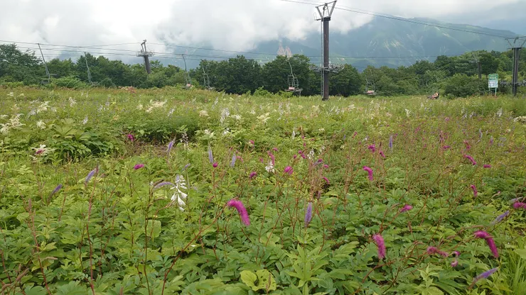 其實很想搭那個椅子