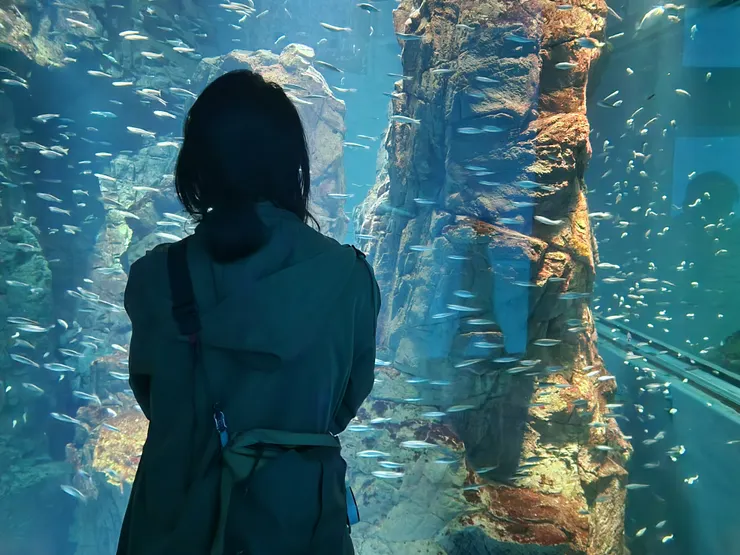 療癒的水族箱（點按可查看影片）