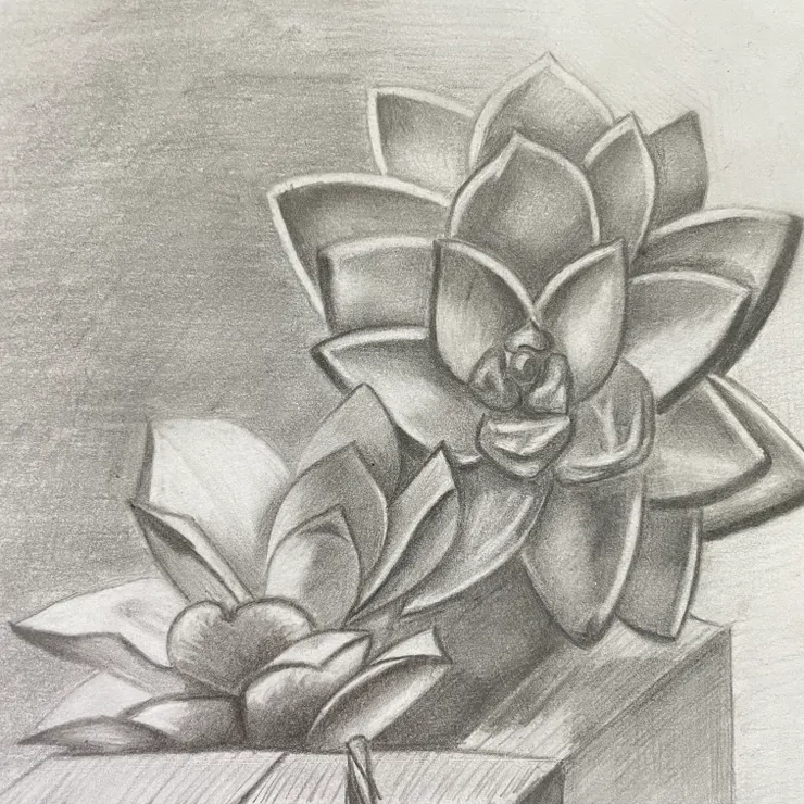 這張看起來「比較順眼」