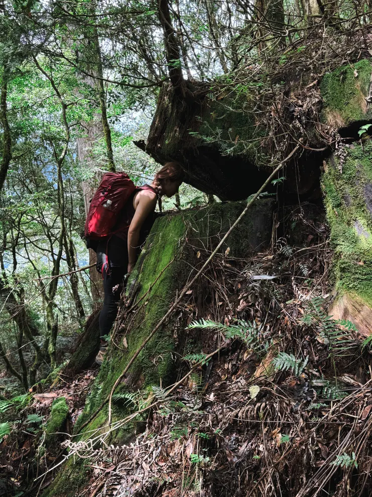 小朋友不要學～～～