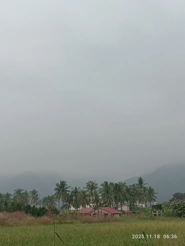 小窗愁黛椰蔭中