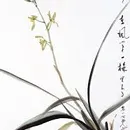 蕙質蘭心的沙龍