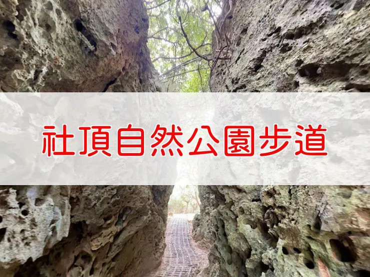 【屏東】社頂自然公園步道 | 全長里程：4.1 公里 | 難易度：低