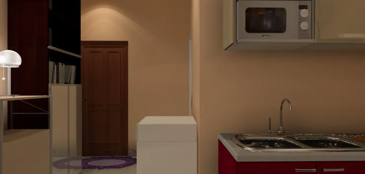 其實放洗衣機的地方應該用來放雪櫃。