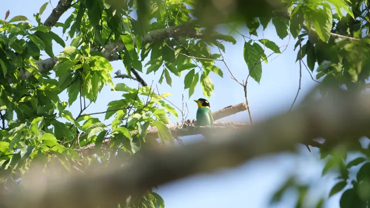 考艾公園拍攝距離較遠