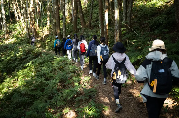 不疾不徐、步伐輕快的隊伍