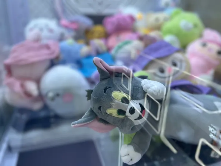 湯姆貓（上斷頭台 ?）