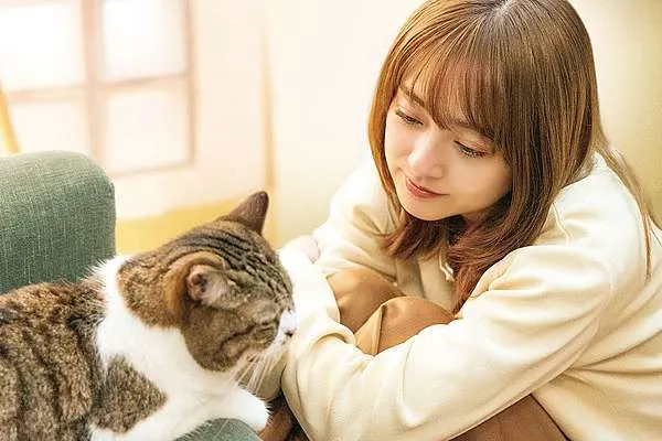 （《三日月和貓》電影劇照）