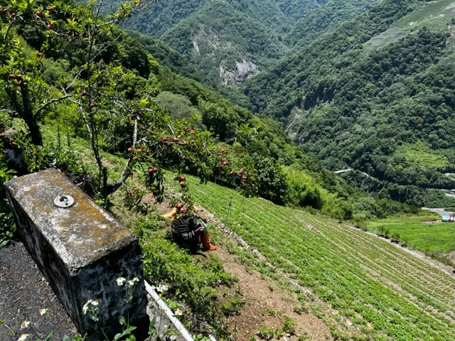 其實就是一幅日常的農田照,我卻看著失了神