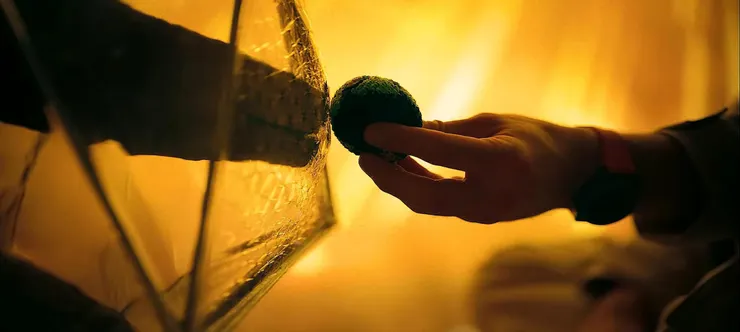 （圖片取自IMDb）