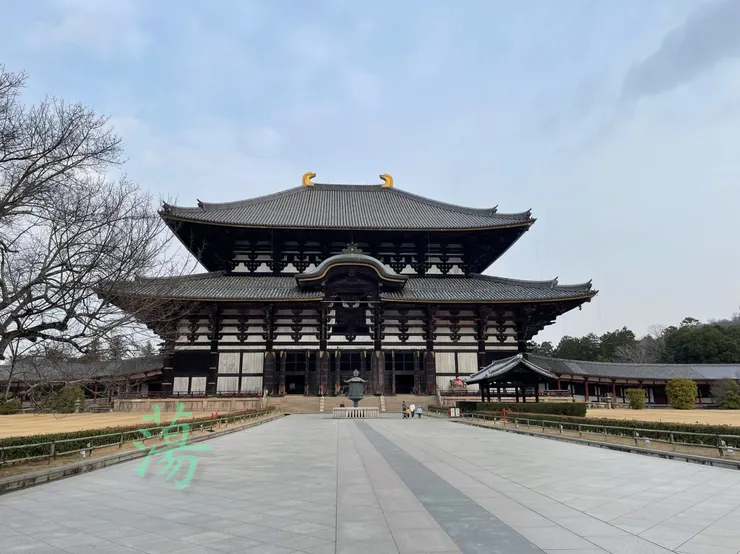 剛開門的東大寺很空曠。