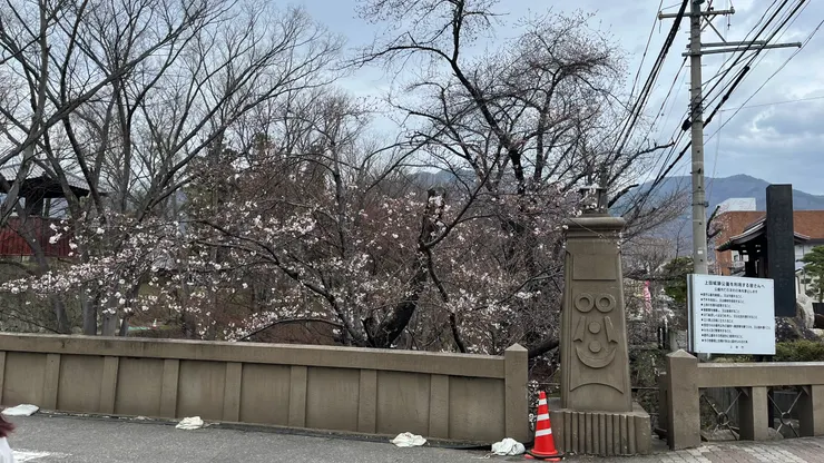 4月10來度的天氣，走起路還算舒服。