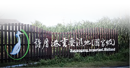 [桃園旅遊]許厝港溼地被國際鳥盟評為國際重要野鳥棲地、台灣國