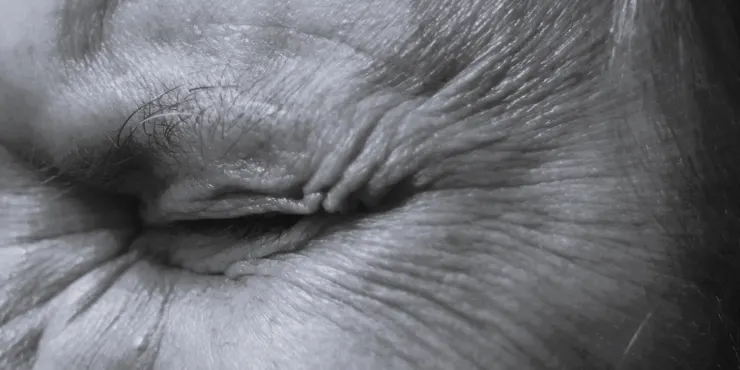 photo credit: Anita Jankovic